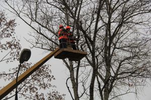 Возле железнодорожной больницы облагораживают сквер (ФОТО)