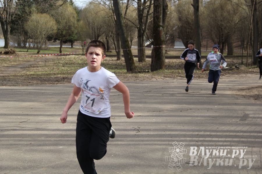 Лично-командный городской легкоатлетический весенний кросс