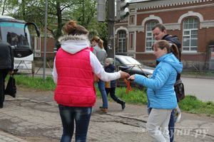 В Великих Луках прошла акция «Георгиевская ленточка»