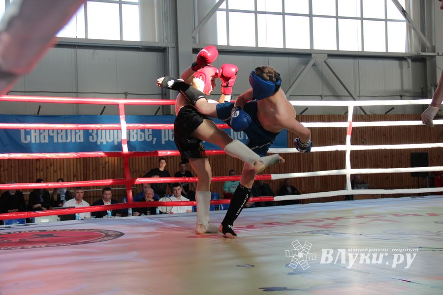 В Великих Луках прошел Кубок области по кикбоксингу (ФОТО)