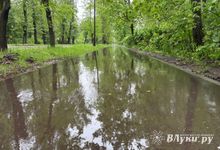 Прогноз погоды на 10 июня в Великих Луках