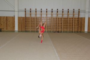 В Великих Луках прошло Открытое первенство города по художественной гимнастике (ФОТО)