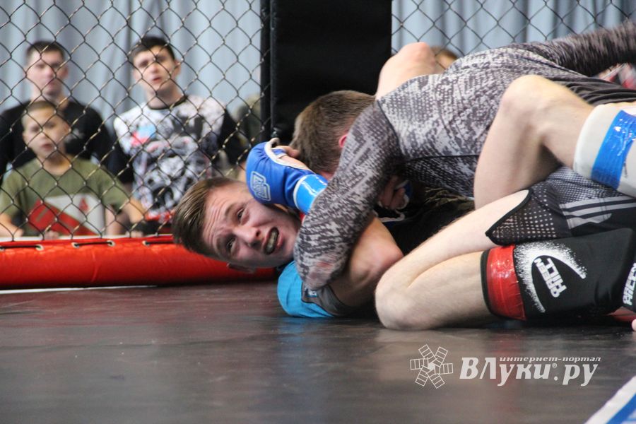 В Великих Луках прошел кубок по смешанному боевому единоборству (ФОТО)