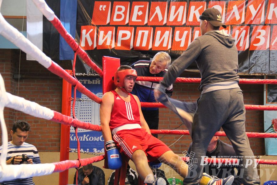 16-й Международный турнир по боксу (фото)