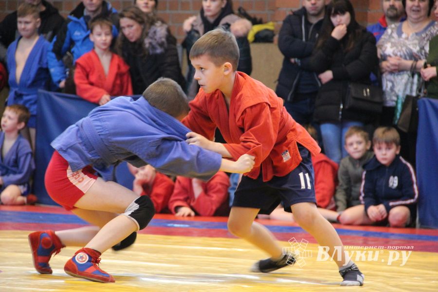 Открытый турнир по самбо «Новогодняя звезда-2019» прошел в Великих Луках (ФОТО)
