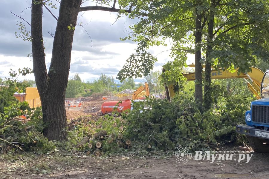 Начались работы по благоустройству территории  вокруг отделения областной инфекционной больницы (ФОТО)