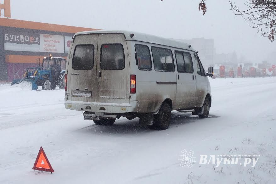 «День жестянщика» в Великих Луках (ФОТО)
