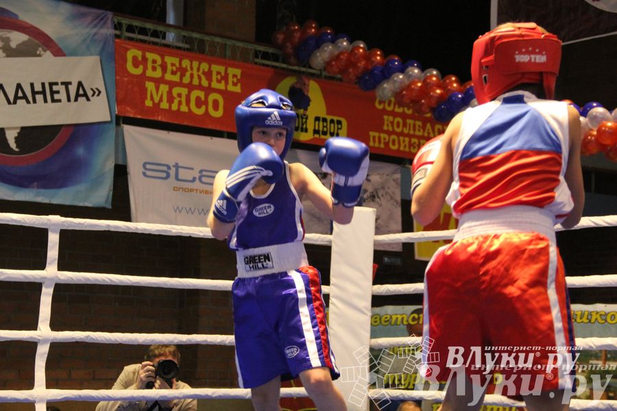 Открытие 16-го  Международного турнира по боксу