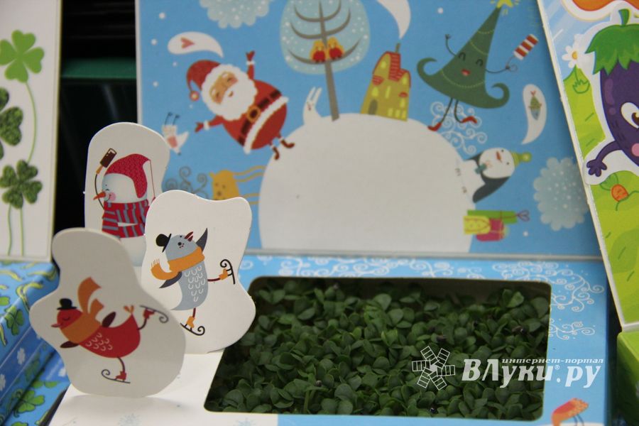 «Золотая Репка» удивляет! (ФОТО)