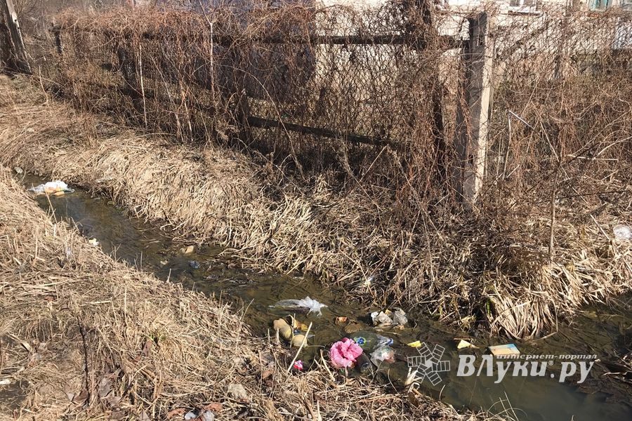 На набережной Лазавицкой угрожающе растёт помойка (ФОТО)