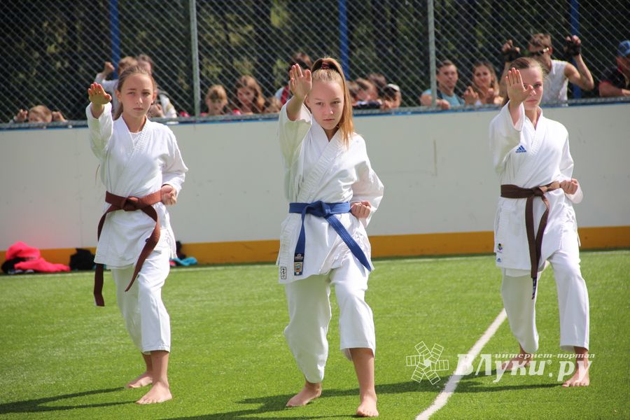 День спорта в День города: сила, мужество и грация (ФОТО)