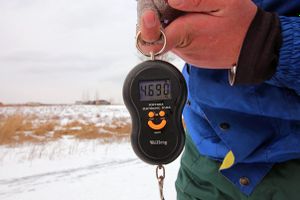 Великолукские рыбаки победили в фестивале по ловле рыбы на блесну (фото)