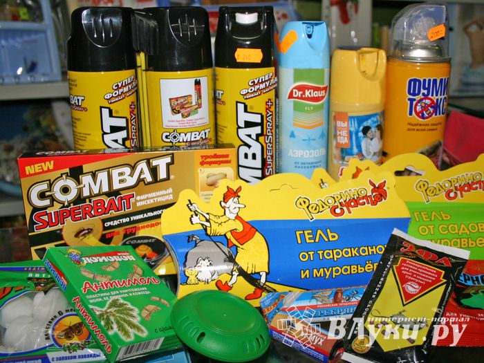 «Сударушка» приглашает...