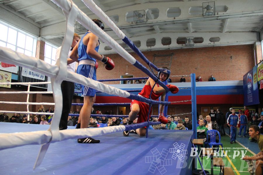 16-й Международный турнир по боксу (фото)