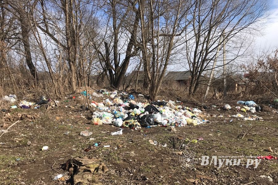 На набережной Лазавицкой угрожающе растёт помойка (ФОТО)