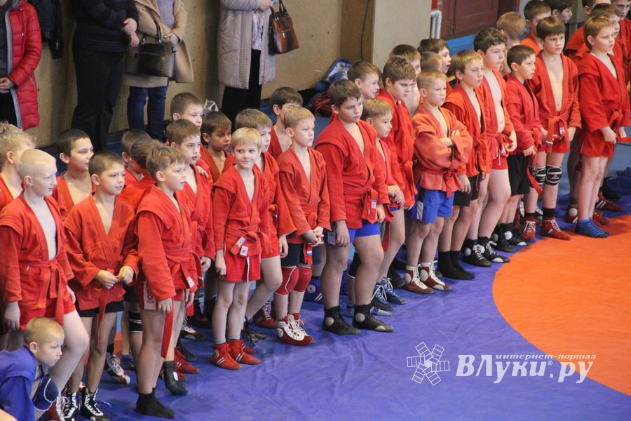 В Великих Луках прошел турнир по самбо "Память" (фото)