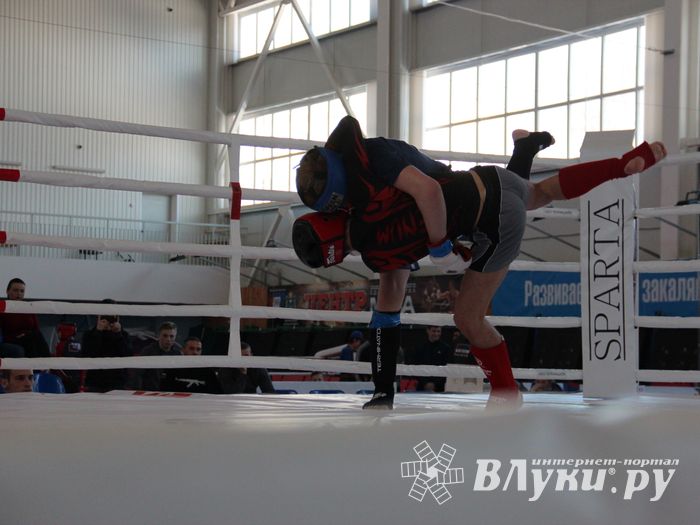 В Великих Луках проходит открытый кубок по смешанному боевому единоборству ММА (ФОТО) (12+)