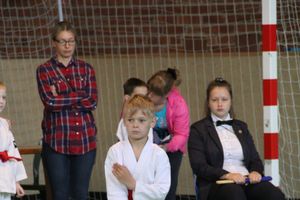 Великолучане стали победителями турнира по каратэ «Неприкосновенный запас, дети — Отчизны 2015» (фото)