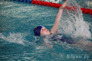 В Великих Луках прошли соревнования по плаванию «Весёлый дельфин» 