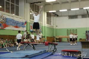 В Великих Луках состоялось Первенство по командной гимнастике (фото)
