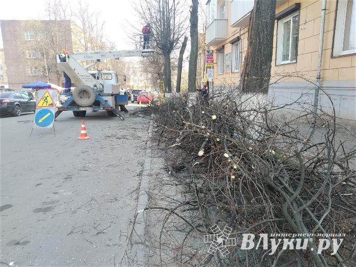 На Пионерской пилят деревья (ФОТО)