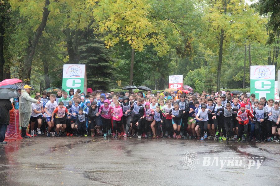 В Великих Луках прошел «Кросс Нации - 2015» (фото)