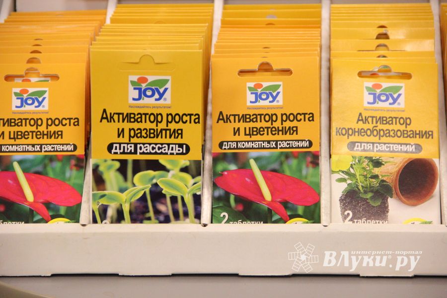 В ДК ЛК открылась 7-я Великолукская универсальная выставка (ФОТО, ВИДЕО)