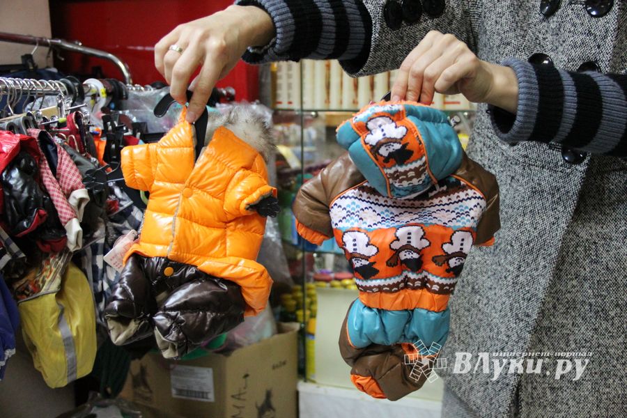 «Zooбастики»: подарите праздник своим любимцам! (ФОТО+ВИДЕО)