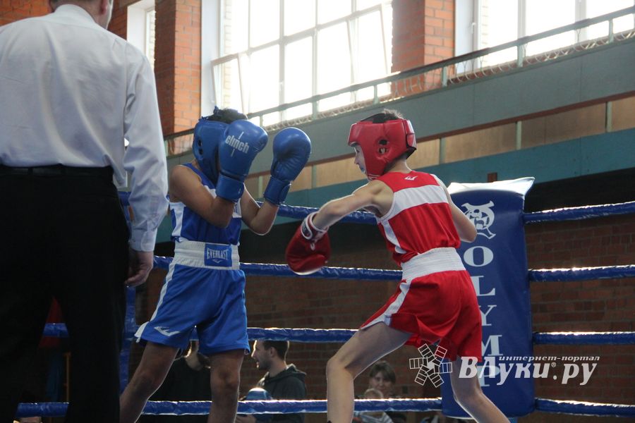 В Великих Луках прошел турнир по боксу памяти Е. Клевцова (ФОТО)