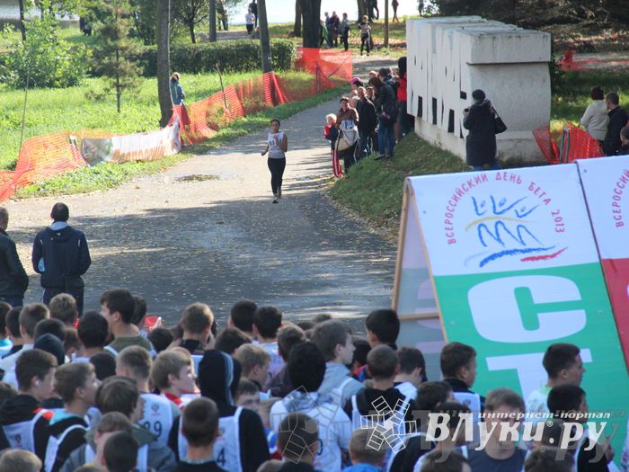 Кросс нации