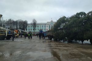 В Великие Луки привезли главную новогоднюю ёлку
