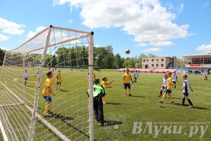 «Локобол-2013» в Великих Луках