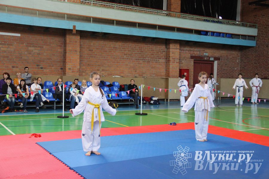 В Великих Луках прошло Первенство по тхэквондо (фото)