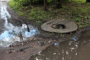 Великие Луки после дождичка в четверг (ФОТО)