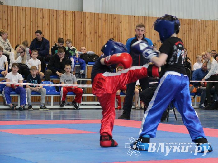 В Великих Луках проходит Кубок по кикбоксингу (ФОТО) (0+)