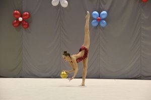 В Великих Луках проходит Кубок Псковской области по художественной гимнастике (ФОТО) (0+)