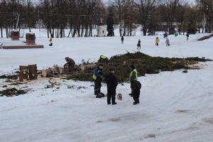 Главная городская ёлка отправилась на свалку (ФОТО)