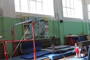 В Великих Луках проходит открытое первенство по спортивной гимнастике (ФОТО)(0+)