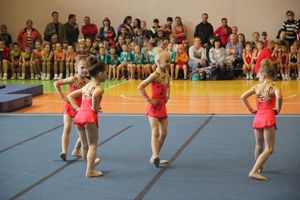 Парад гимнастики