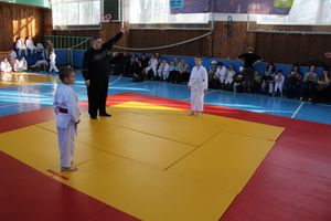Юные великолучане приняли участие в турнире по дзюдо «Крепыш» (ФОТО)