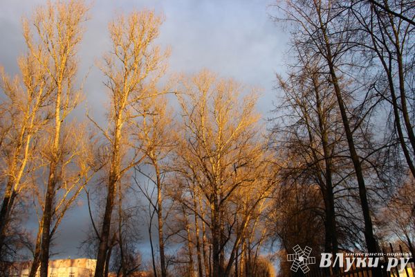 Синоптик рассказал о погодных аномалиях по всей России