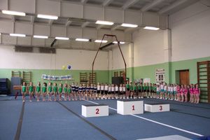 В Великих Луках прошло первенство по спортивной гимнастике (ФОТО)