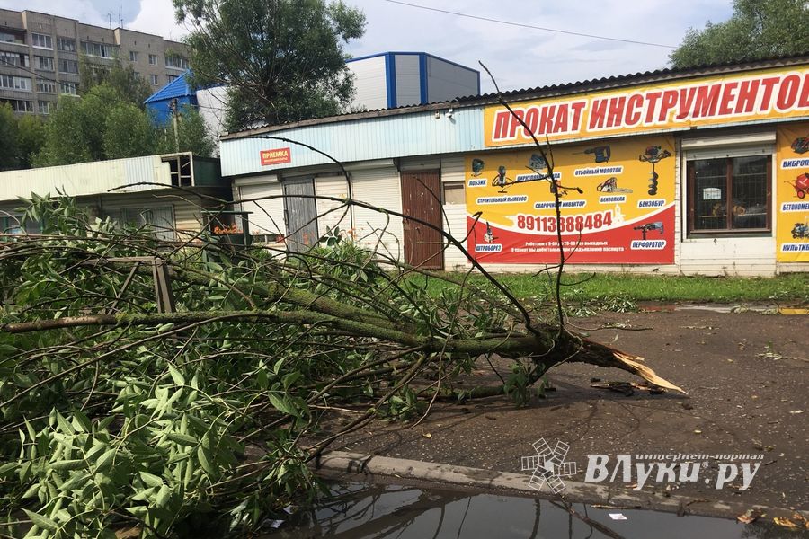 Гроза в Великих Луках не прошла бесследно (ФОТО)