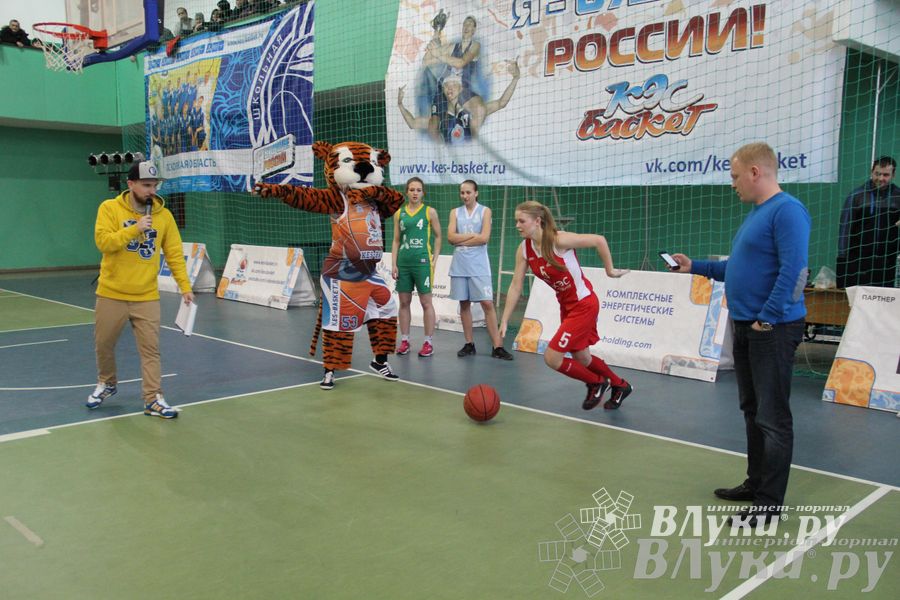 Чемпионат ШБЛ «КЭС-БАСКЕТ» сезона 2013-2014 гг. Псковской области