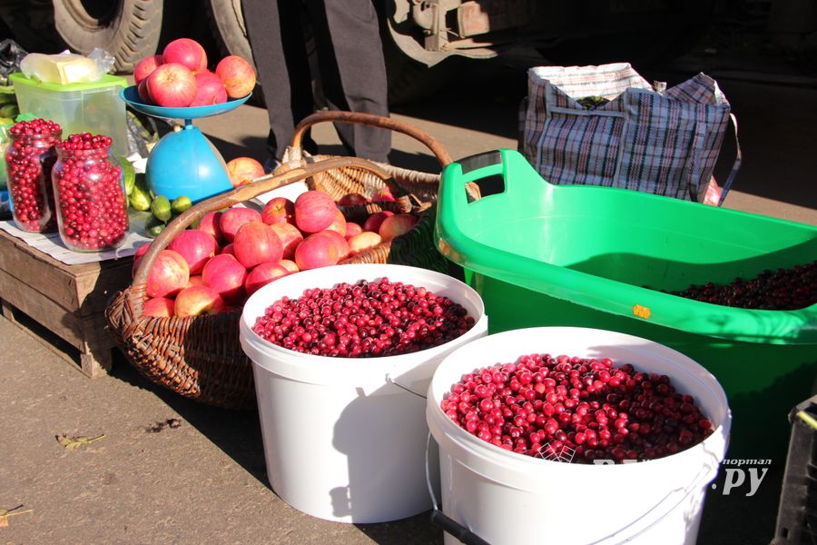 Торговая ярмарка «Осень-2016» прошла в Великих Луках (ФОТО)