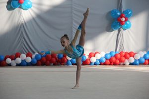 ​В Великих Луках проходят соревнования по художественной гимнастике (ФОТО) (6+)