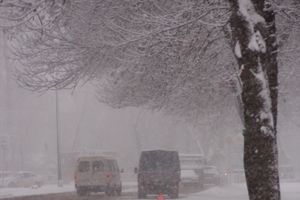 В Великих Луках снегопад и «день жестянщика» (фото)