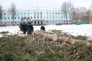 Главная городская ёлка отправилась на свалку (ФОТО)