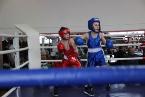 Юные великолучане выявили сильнейших боксёров (ФОТО)