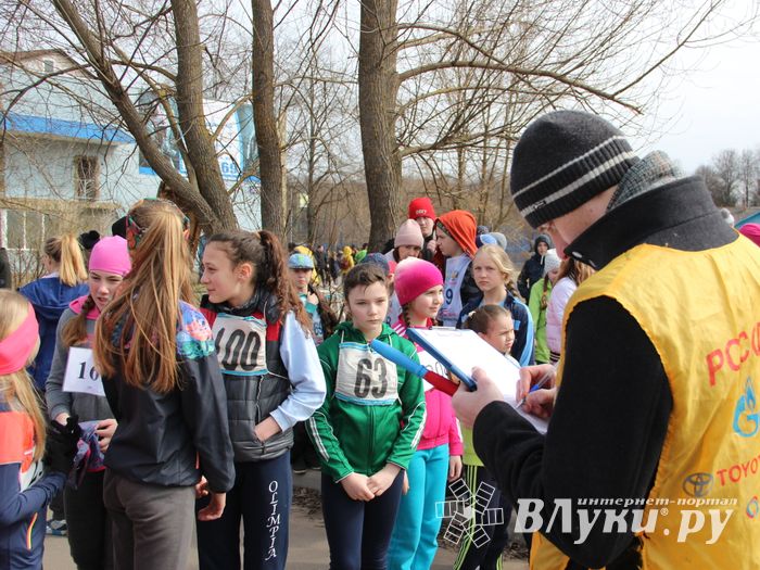 В Великих Луках прошёл легкоатлетический кросс (ФОТО)